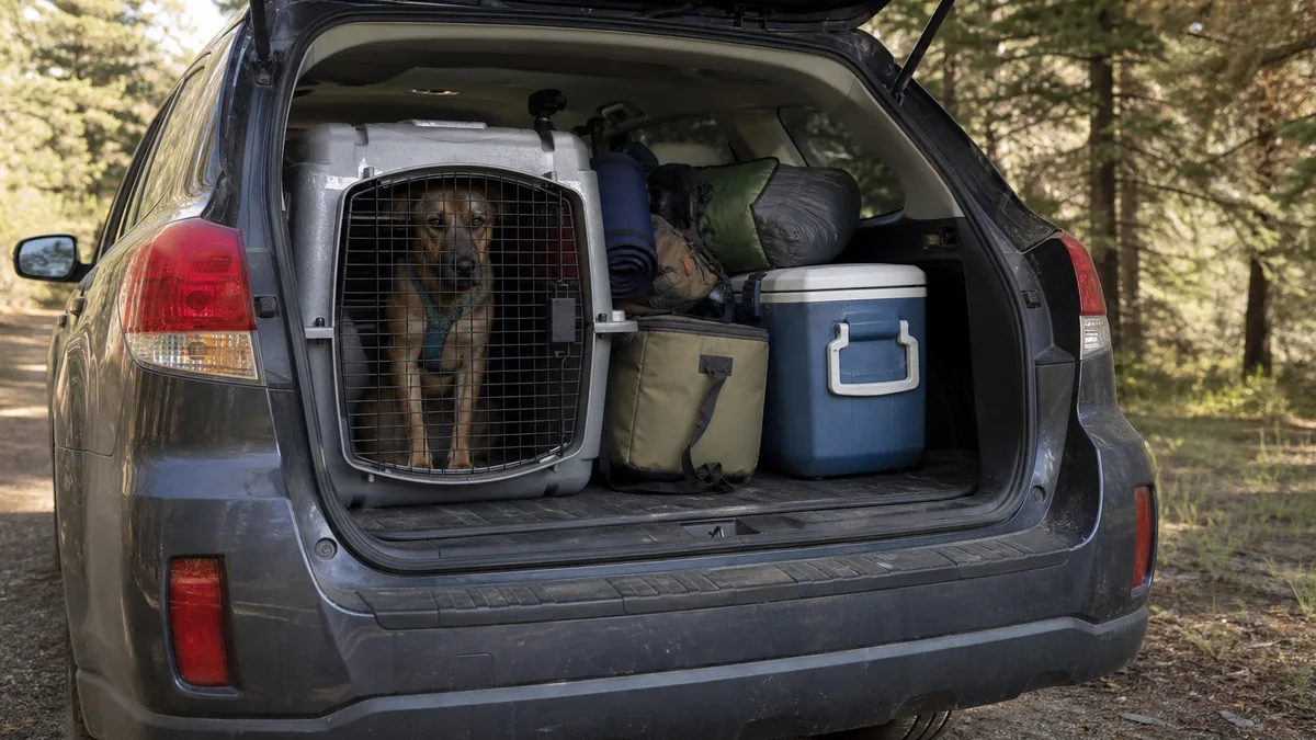 Subaru Outback cargo area with outdoor gear